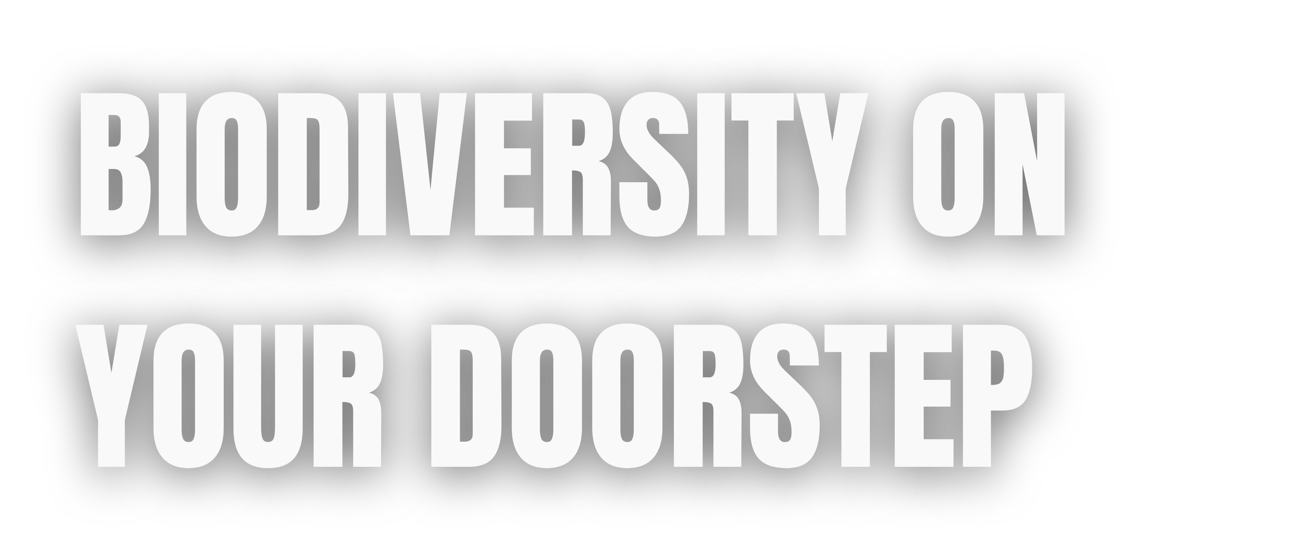 Biodiversity On Your Doorstep