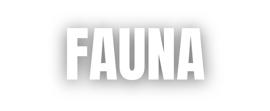 Fauna
