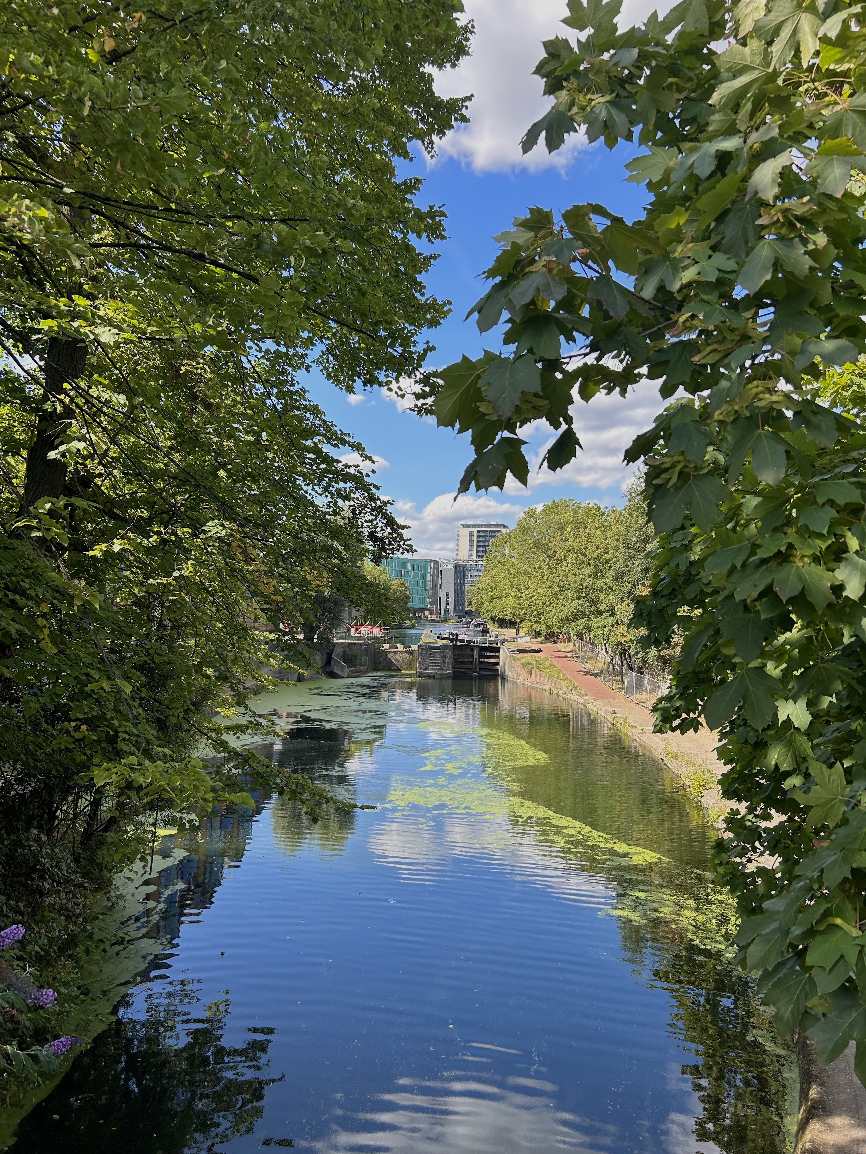 Regent's Canal Queen Mary University of London