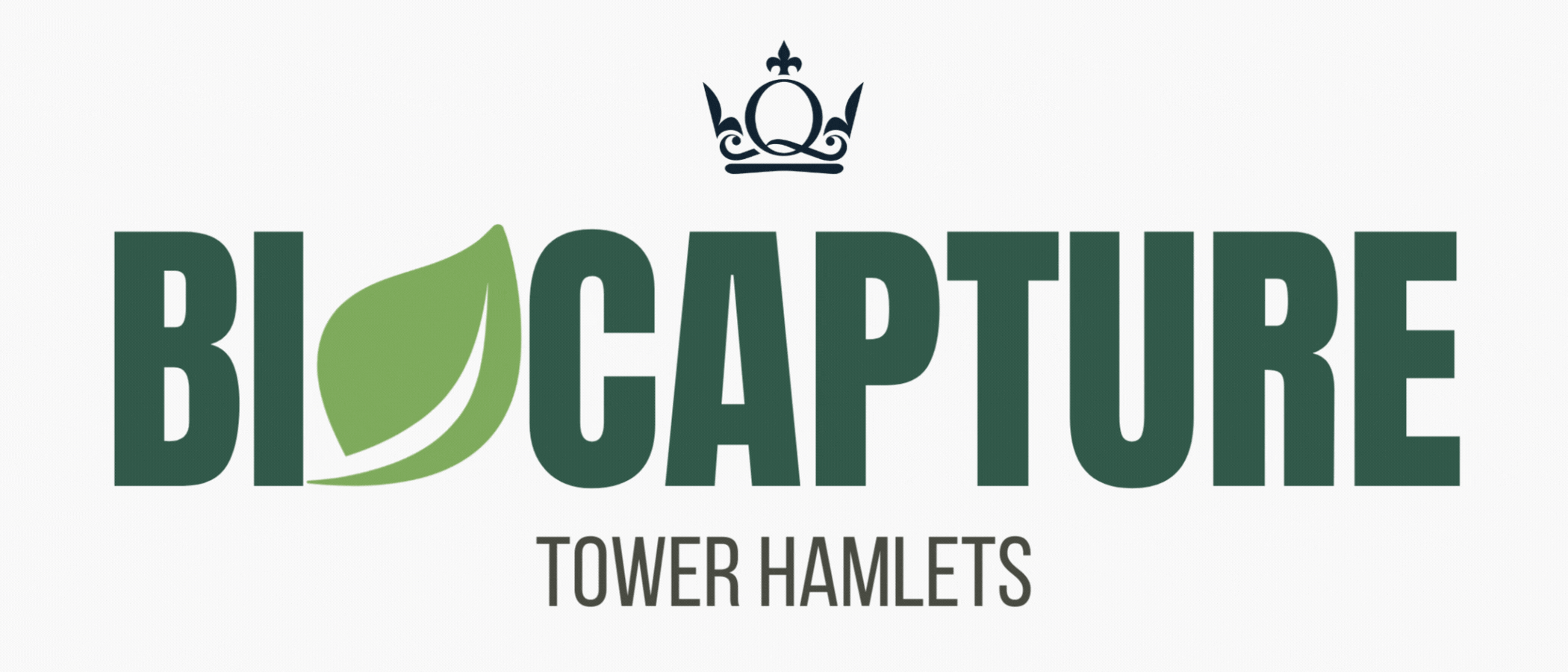 BioCapture Animated Leaf Logo