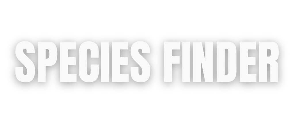 Species Finder